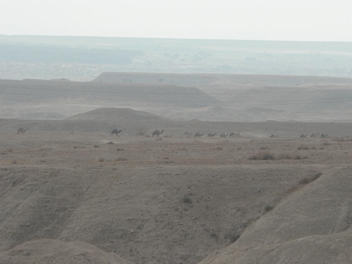 foto_044