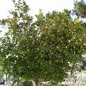 foto_212